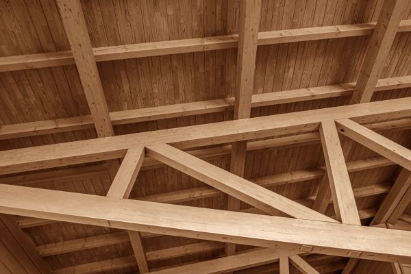 Joist Repair