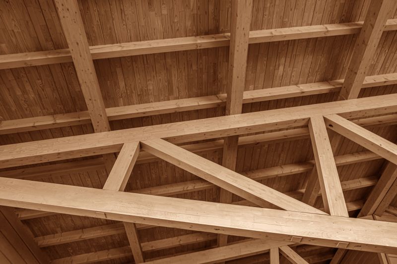 Ceiling Joist Repair in Kansas City, KS